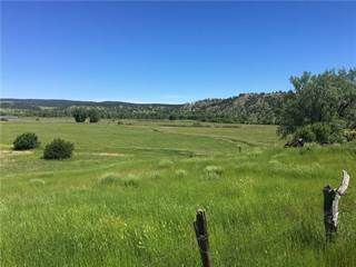 Absarokee Mt Land For Sale