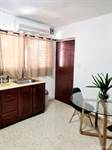 FOR Rent Studio fully furnished with gazebo in Bella Vista, Bella Vista, Distrito Nacional