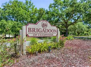 3401 BRIGADOON DRIVE, Clearwater, FL, 33759