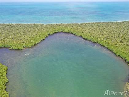10 Acres on Middle Long Caye| Near the Barrier Reef, Belize
