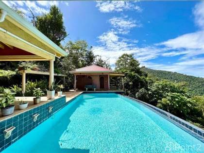 Shannon Estate, West End, Tortola