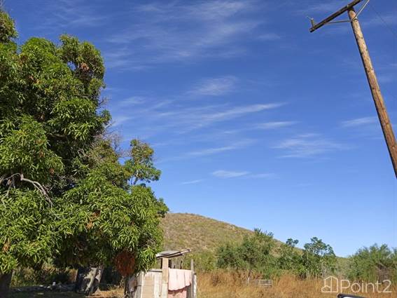3.6 HAS / 8.8 ACRES TOCAYO FARMING LAND PESCADERO, Baja California Sur - photo 8 of 12