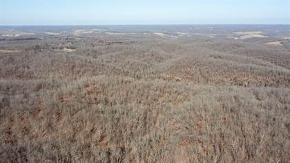 Picture of Tbd State Hwy C Tract 6, Cassville, MO, 65625