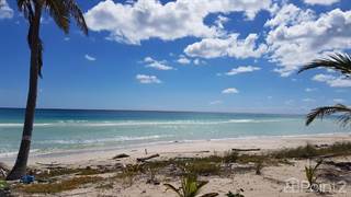 BEACH FRONT lote For Sale 9150 ft2  at Mahahual- Xcalak road P3413, Costa Maya, Quintana Roo