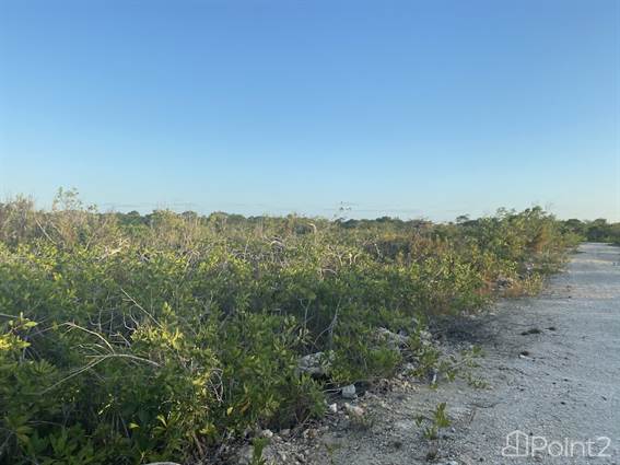 $35,000 Secret Beach Lots with Financing - photo 5 of 11