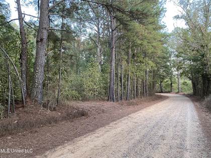 Picture of Kerr Road, Carthage, MS, 39051