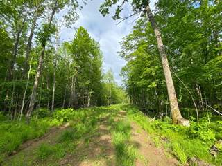 120 Acre CTH H, Gleason, WI, 54435