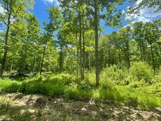 120 Acre CTH H, Gleason, WI, 54435