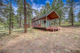 630 Crooked Road, Pagosa Springs, CO, 81147