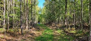 5 Acres SHEEP RANCH RD, Phillips, WI, 54555