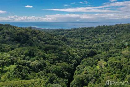 Coveted Sanjosecito Readyto Build Whales Tail Lots, Uvita, Puntarenas ...