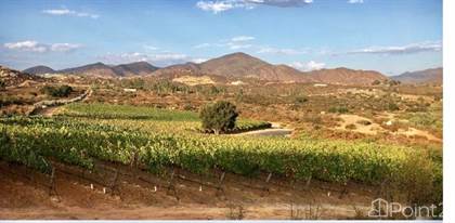 Valle de Guadalupe Real Estate & Homes for Sale | Point2