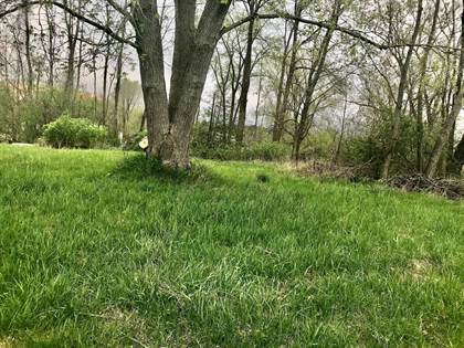 Lots And Land for sale in TBD S Muenscher Street, Howard City, MI, 49329