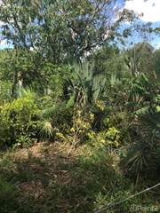 1572’ meter Lovely Country home lot, Higuey, La Altagracia