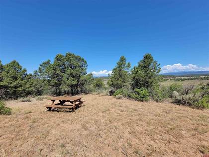 Colorado Mountain Land For Sale