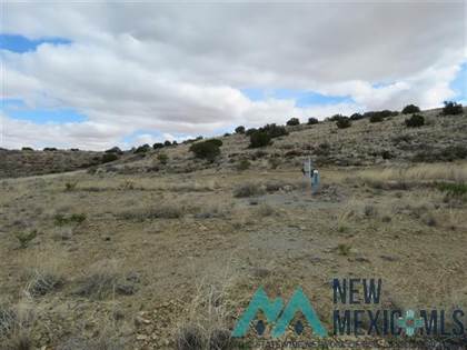 Lot 1 Champagne Hills Road, Elephant Butte, NM, 87935
