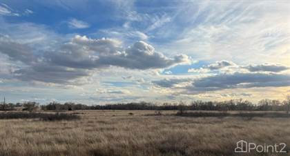 100 acres County Road D, Lakeview, TX, 79239