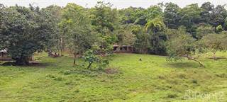 598 Acres With River Frontage, Blue Water Views, Gentle Rolling Hills, Waterfalls And Cascades., Barú, Puntarenas