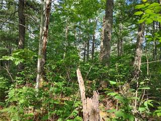 Lot 15 Hemlock Court, Cable, WI, 54821