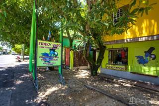Belize Turn-Key Backpacker Profitable Hostel for Sale in Hopkins, Hopkins, Stann Creek