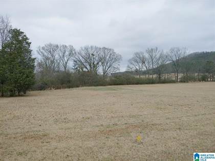 Talladega County, AL Land for Sale -- Acerage, Cheap Land & Lots for Sale