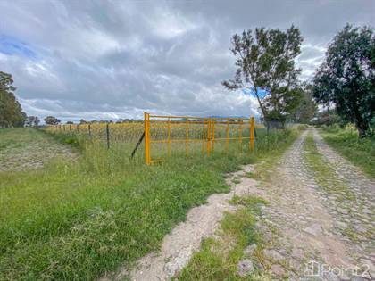 Celaya City Farms and Acreages for Sale | Point2