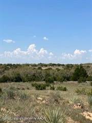 624 acres on CR 30, Hedley, TX, 79237