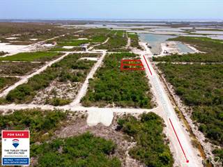 Double Lot Deal Along Future 150' Main Boulevard With Seller Financing, Ambergris Caye, Belize