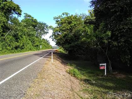 OFF MARKET - Belize Hummingbird Highway Home on 9 Acres, Belmopan, Cayo