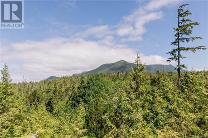 LOT D Hawkes Rd, Ucluelet, British Columbia, V0R3A0