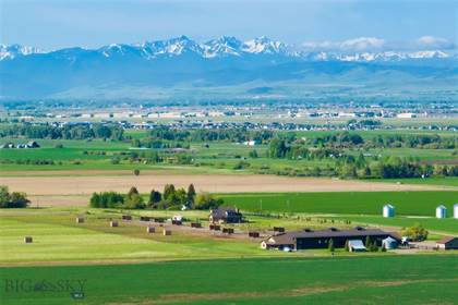 Springhill Ridge, Belgrade Montana