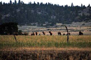 Sweet Grass, Montana, Big Timber, MT, 59011