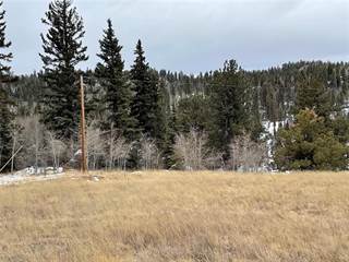 5265 COUNTY RD 100, Florissant, CO, 80816