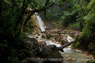 Celeste Waterfall Ranch, Sarchi, Alajuela