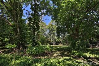Residential Property for sale in Botanic Garden Estate, Santa Ana, San José