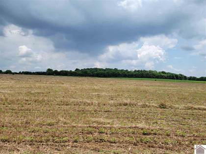 Lots And Land for sale in 000 Hwy 641, Fredonia, KY, 42411