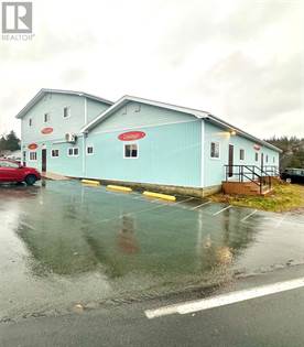 281 Duckworth Street, St John'S, NL, A1C 1G9 - commercial for sale