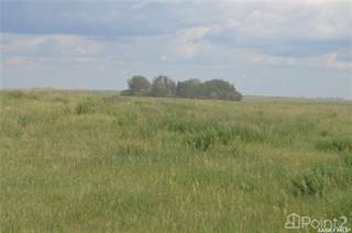 Koop East Land, Dundurn Rm No. 314, Saskatchewan