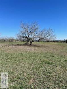 Picture of 10542 N MILE 1 1/2, Mercedes, TX, 78570