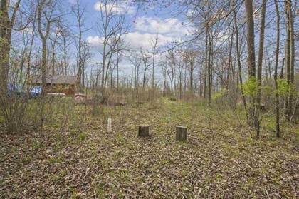 Lot 1 2nd Ct, Wisconsin Dells, WI, 53965