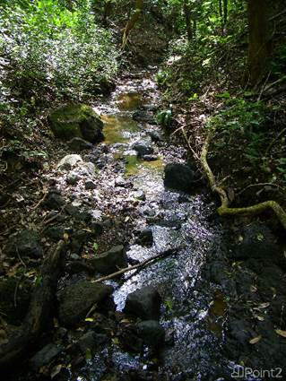 river spring streams
