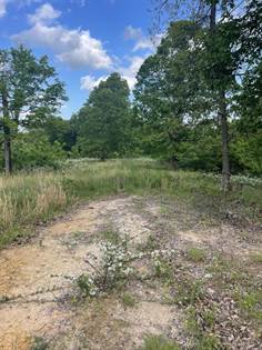 Picture of 0 Halfway Branch Road, Grayson, KY, 41143