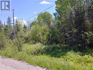 Land for Sale Northern Ontario - Vacant Lots for Sale in Northern ...