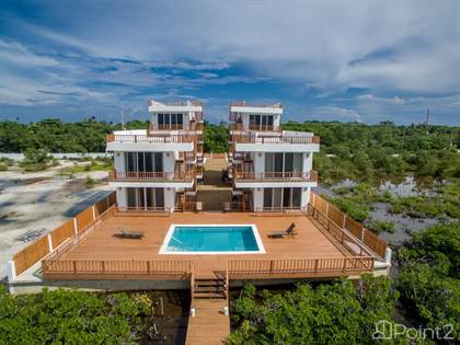 belize caye ambergris estero