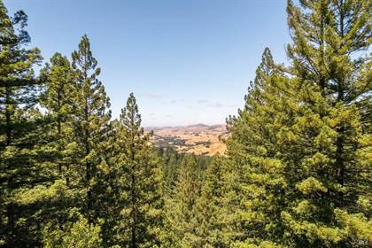 Picture of 1401 Nicasio Valley Road, Nicasio, CA, 94946