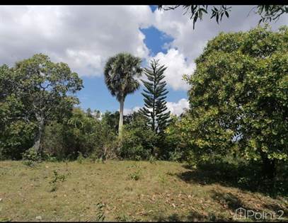 Terreno super bien ubicado en san Cristóbal, San Cristobal, Distrito Nacional