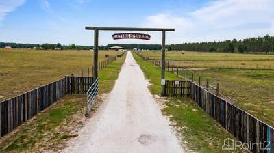 Farms Ranches Acreages For Sale In Florida Fl Point2