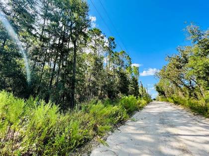 Lot 24 30th Ave, Bell, FL, 32619