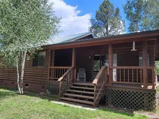 322 Pines Drive, Pagosa Springs, CO, 81147