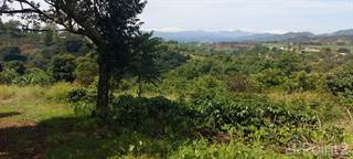 Property with excellent views and location, with potential for development of residential project., Sarchi, Alajuela